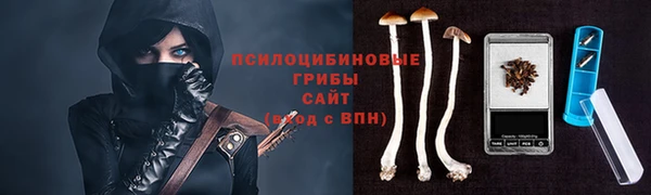 шишки Навашино