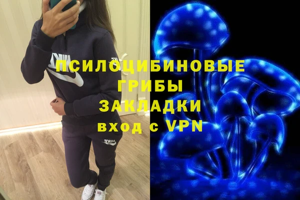 шишки Навашино