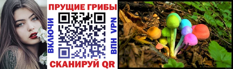 Псилоцибиновые грибы MAGIC MUSHROOMS  Краснотурьинск 