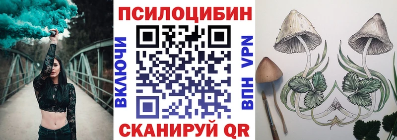 Псилоцибиновые грибы Psilocybine cubensis Краснотурьинск
