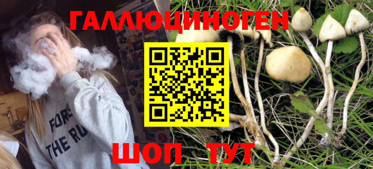 Псилоцибиновые грибы прущие грибы  закладки  Краснотурьинск  Вход с VPN 